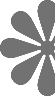 تزيين بالزهور